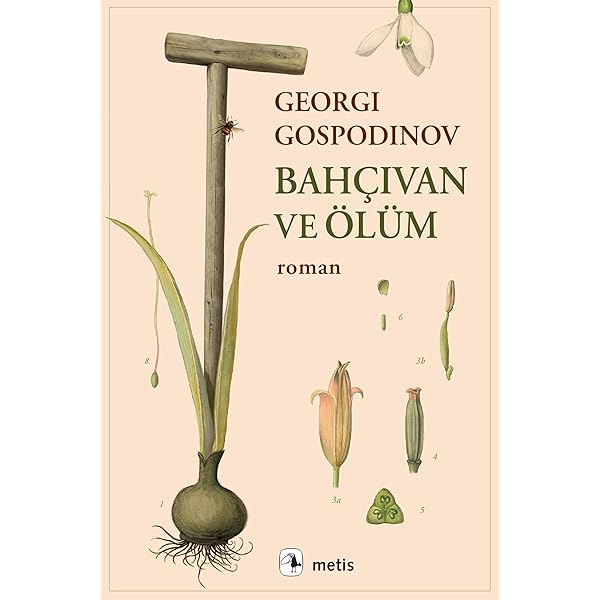 Mor Etekli Kadın : Natsuko Imamura, Ali Volkan Erdemir: Amazon.de